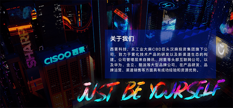 CISOO西素电子烟官方网址，西素电子烟怎么样？-电子烟网|悦客|悦刻RELX|柚子yooz|小野|绿萝|非我JVE|福禄flow|魔笛MOTI|火器ammo|