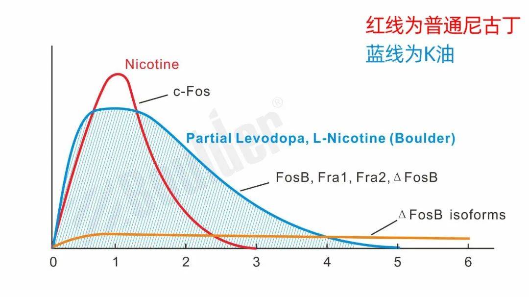 Boulder铂德新品谍照曝光；发布会新品提前泄漏